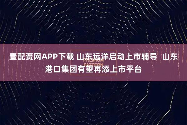 壹配资网APP下载 山东远洋启动上市辅导  山东港口集团有望再添上市平台