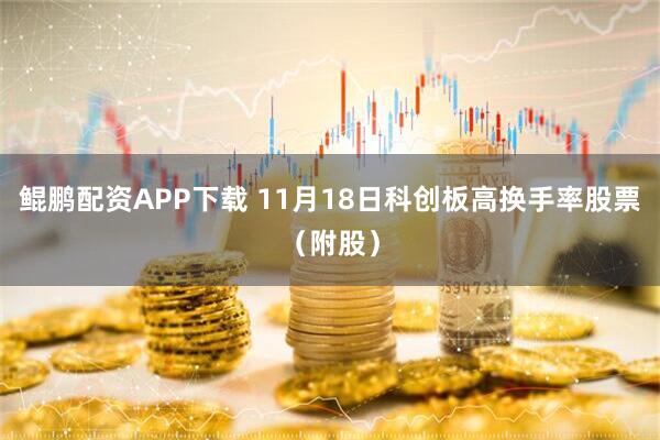 鲲鹏配资APP下载 11月18日科创板高换手率股票（附股）