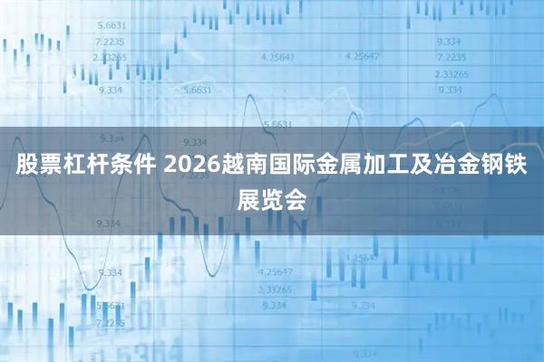 股票杠杆条件 2026越南国际金属加工及冶金钢铁展览会