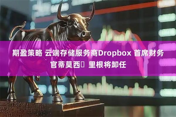 期盈策略 云端存储服务商Dropbox 首席财务官蒂莫西・里根将卸任