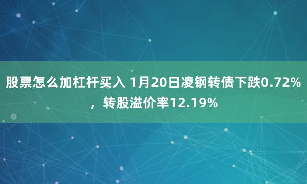 股票怎么加杠杆买入 1月20日凌钢转债下跌0.72%，转股溢价率12.19%