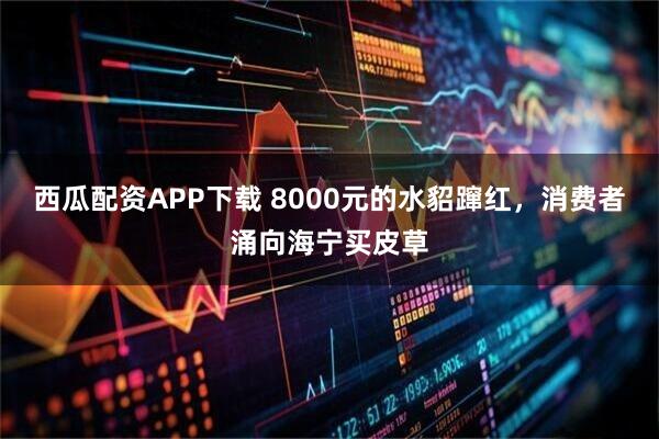西瓜配资APP下载 8000元的水貂蹿红，消费者涌向海宁买皮草